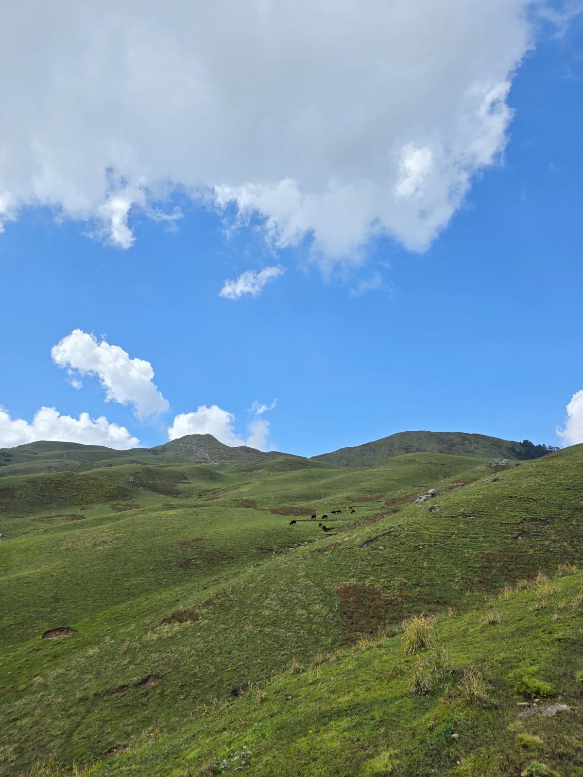 Dayara Bugyal Trek Package