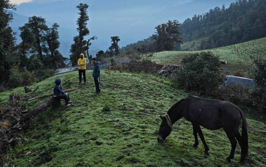 Dayara Bugyal Trek Package