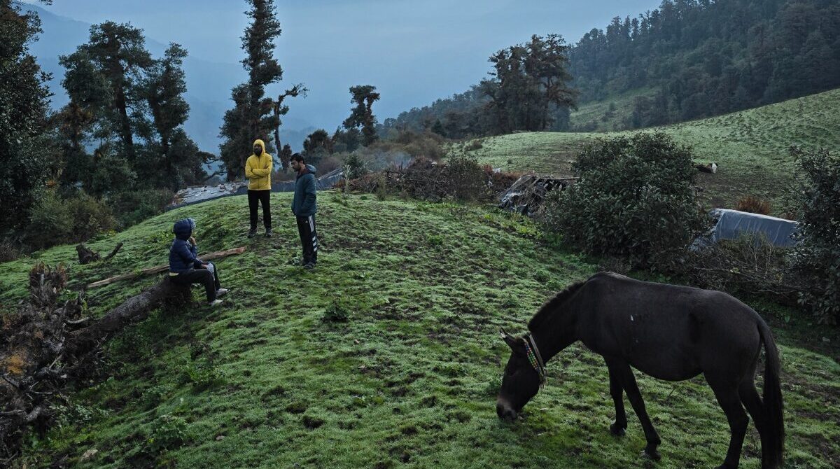 Dayara Bugyal Summer Trek – Walking on Meadows that are Infinite