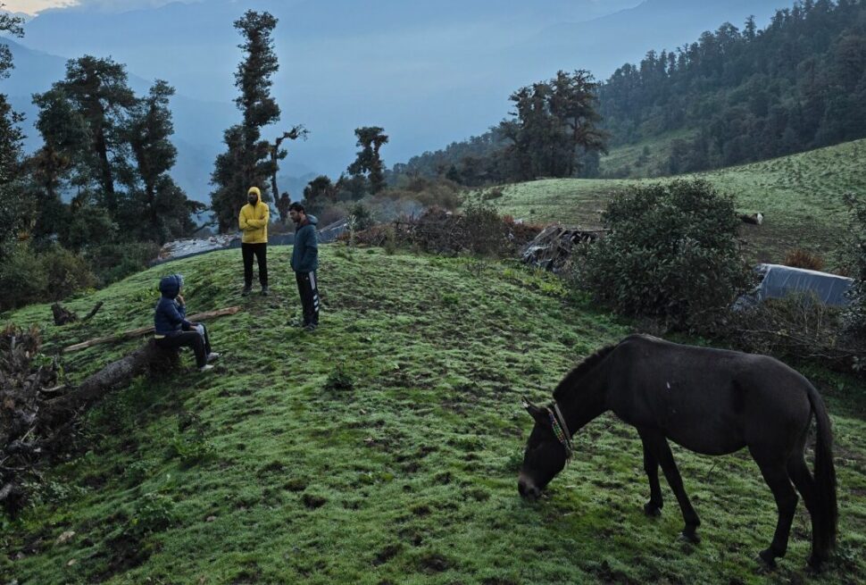 Dayara Bugyal Trek Package