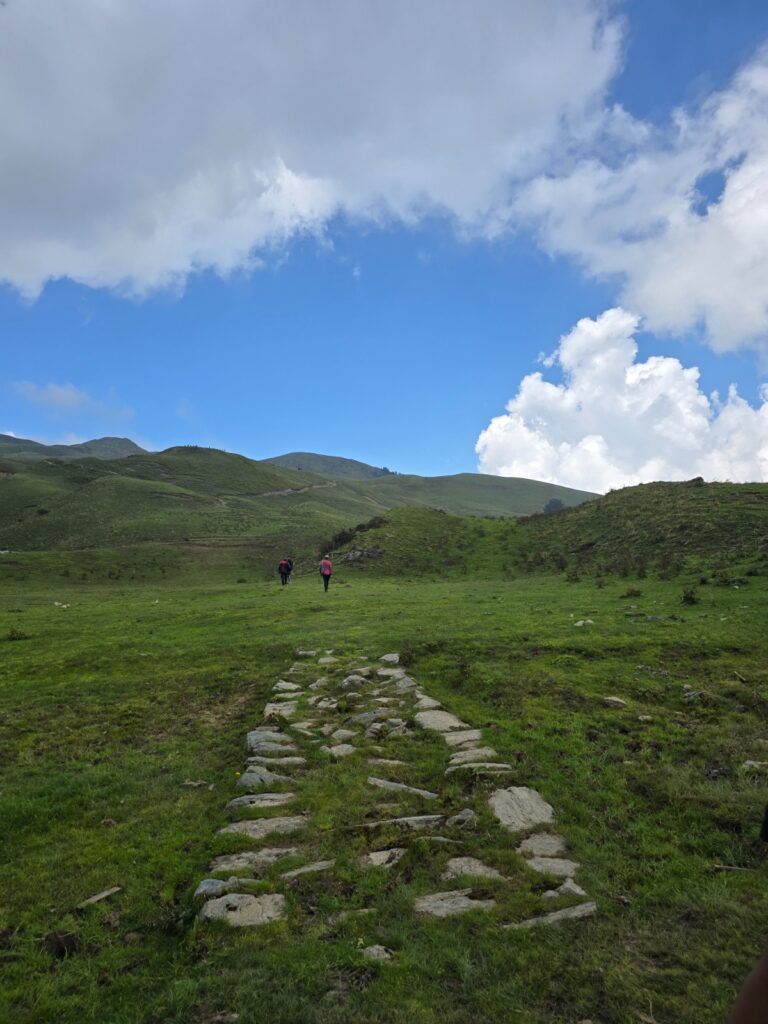 Dayara Bugyal Trek Package
